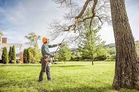 Best Tree Health Inspection  in Brookmont, MD